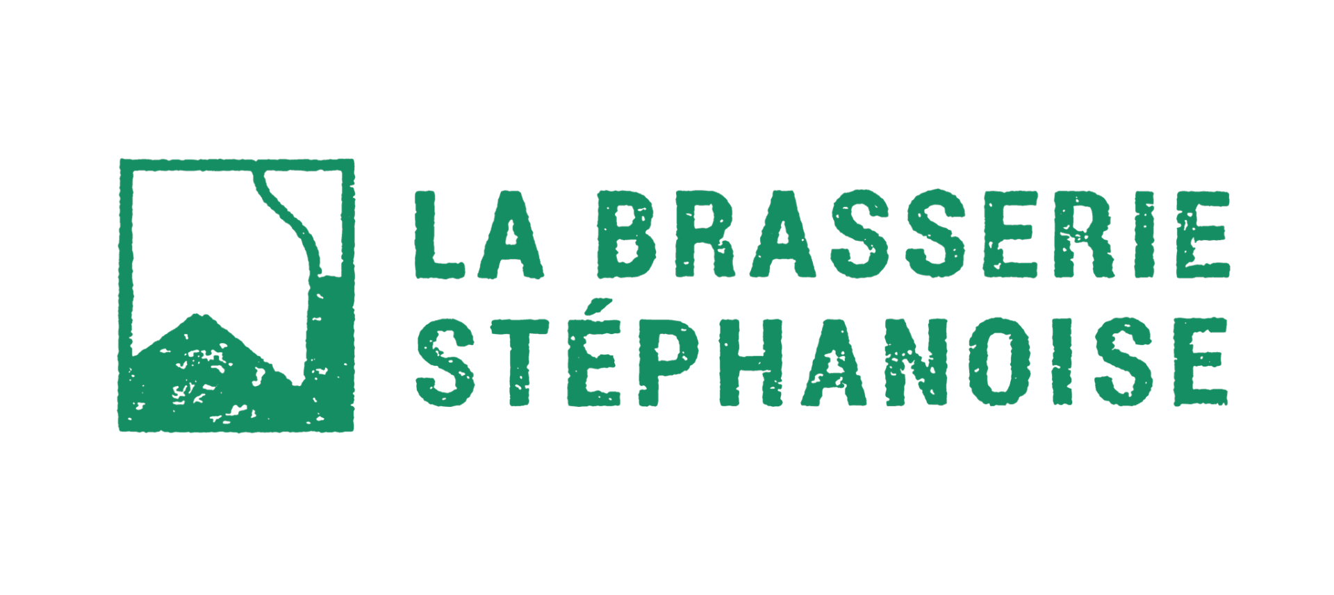 brasserie-stephanoise-54