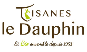 tisane-le-dauphin-24